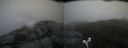 ./images/calvert/buxton2/20170611/buxton220170611_061931M.jpg