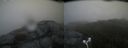 ./images/calvert/buxton2/20170611/buxton220170611_062433M.jpg