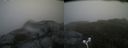 ./images/calvert/buxton2/20170611/buxton220170611_091434M.jpg