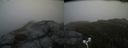 ./images/calvert/buxton2/20170611/buxton220170611_093935M.jpg