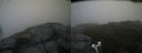 ./images/calvert/buxton2/20170611/buxton220170611_102432M.jpg