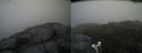 ./images/calvert/buxton2/20170611/buxton220170611_103431M.jpg