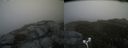 ./images/calvert/buxton2/20170611/buxton220170611_111934M.jpg