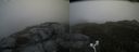 ./images/calvert/buxton2/20170611/buxton220170611_112433M.jpg