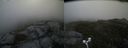 ./images/calvert/buxton2/20170611/buxton220170611_112931M.jpg