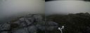 ./images/calvert/buxton2/20170611/buxton220170611_113933M.jpg