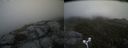 ./images/calvert/buxton2/20170611/buxton220170611_121934M.jpg