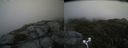 ./images/calvert/buxton2/20170611/buxton220170611_122433M.jpg