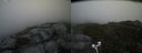 ./images/calvert/buxton2/20170611/buxton220170611_124432M.jpg
