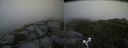 ./images/calvert/buxton2/20170611/buxton220170611_130434M.jpg