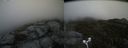 ./images/calvert/buxton2/20170611/buxton220170611_134433M.jpg