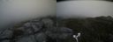 ./images/calvert/buxton2/20170611/buxton220170611_140431M.jpg