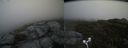 ./images/calvert/buxton2/20170611/buxton220170611_142432M.jpg