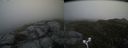 ./images/calvert/buxton2/20170611/buxton220170611_143432M.jpg