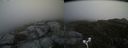 ./images/calvert/buxton2/20170611/buxton220170611_163434M.jpg