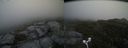 ./images/calvert/buxton2/20170611/buxton220170611_165933M.jpg