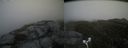 ./images/calvert/buxton2/20170611/buxton220170611_170933M.jpg