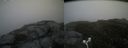 ./images/calvert/buxton2/20170612/buxton220170612_202958M.jpg