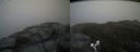 ./images/calvert/buxton2/20170612/buxton220170612_204957M.jpg