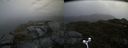 ./images/calvert/buxton2/20170615/buxton220170615_122109M.jpg