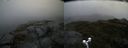 ./images/calvert/buxton2/20170615/buxton220170615_124608M.jpg