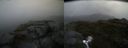 ./images/calvert/buxton2/20170615/buxton220170615_141610M.jpg
