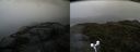 ./images/calvert/buxton2/20170615/buxton220170615_153111M.jpg