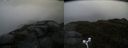 ./images/calvert/buxton2/20170615/buxton220170615_163111M.jpg