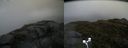 ./images/calvert/buxton2/20170615/buxton220170615_183611M.jpg