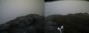 ./images/calvert/buxton2/20170615/buxton220170615_204609M.jpg