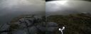 ./images/calvert/buxton2/20170618/buxton220170618_193724M.jpg