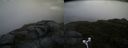 ./images/calvert/buxton2/20170619/buxton220170619_063248M.jpg