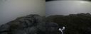 ./images/calvert/buxton2/20170619/buxton220170619_070259M.jpg