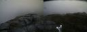 ./images/calvert/buxton2/20170619/buxton220170619_081253M.jpg