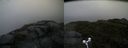 ./images/calvert/buxton2/20170619/buxton220170619_113247M.jpg