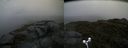 ./images/calvert/buxton2/20170619/buxton220170619_114745M.jpg
