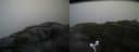 ./images/calvert/buxton2/20170619/buxton220170619_172748M.jpg