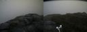 ./images/calvert/buxton2/20170619/buxton220170619_174746M.jpg