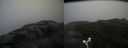 ./images/calvert/buxton2/20170619/buxton220170619_180746M.jpg