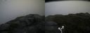 ./images/calvert/buxton2/20170619/buxton220170619_191251M.jpg