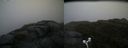 ./images/calvert/buxton2/20170619/buxton220170619_194751M.jpg