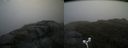 ./images/calvert/buxton2/20170621/buxton220170621_065051M.jpg