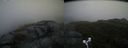 ./images/calvert/buxton2/20170621/buxton220170621_071550M.jpg