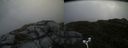 ./images/calvert/buxton2/20170621/buxton220170621_104550M.jpg
