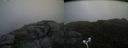 ./images/calvert/buxton2/20170621/buxton220170621_113049M.jpg