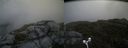 ./images/calvert/buxton2/20170621/buxton220170621_120549M.jpg