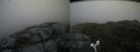 ./images/calvert/buxton2/20170621/buxton220170621_124052M.jpg