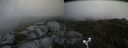 ./images/calvert/buxton2/20170621/buxton220170621_130551M.jpg