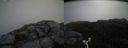 ./images/calvert/buxton2/20170625/buxton220170625_105703M.jpg
