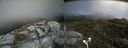 ./images/calvert/buxton2/20170625/buxton220170625_132202M.jpg